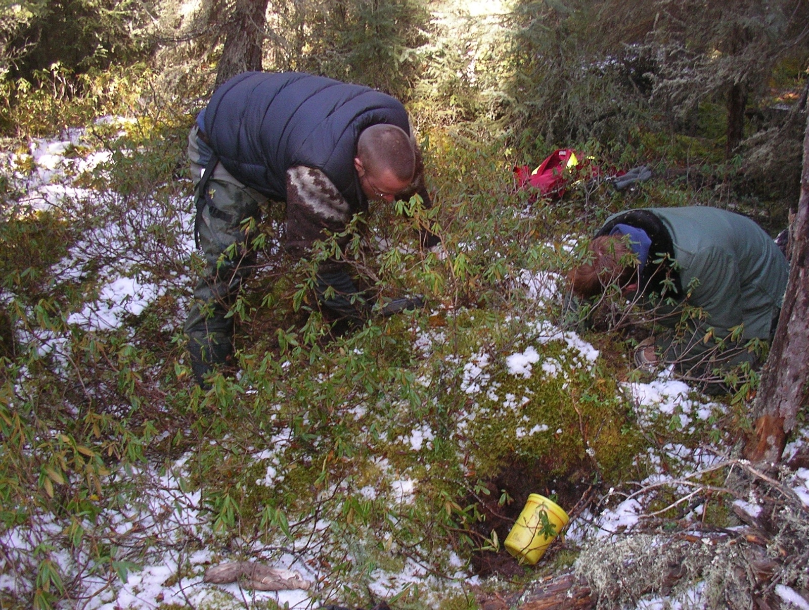 The hibernation site for toad MU had a temperature data logger installed